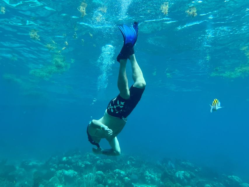 From Punta Cana: Small Group Catalina Island Snorkeling Tour - Natural Pool stop: short, scenic, and worth the switch-up
