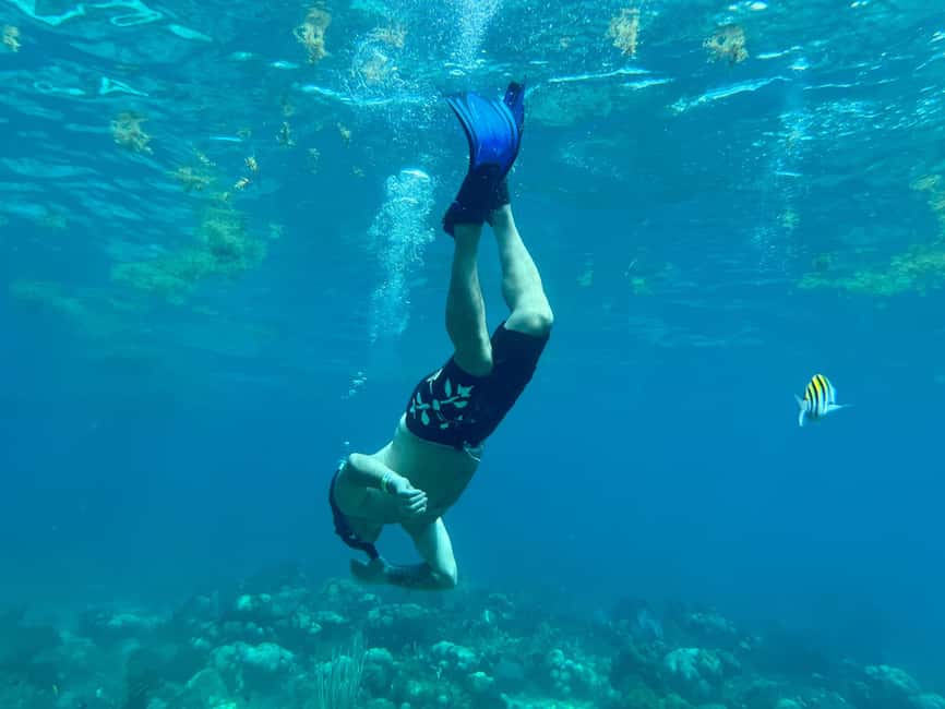 From Punta Cana: Small Group Catalina Island Snorkeling Tour - Who should book this tour (and who should skip it)