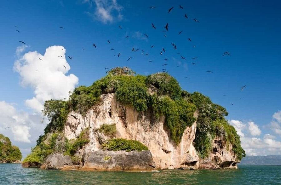 From Samana: Los Haitises Boat and Walking Tour with Lunch - Key things to know before you go