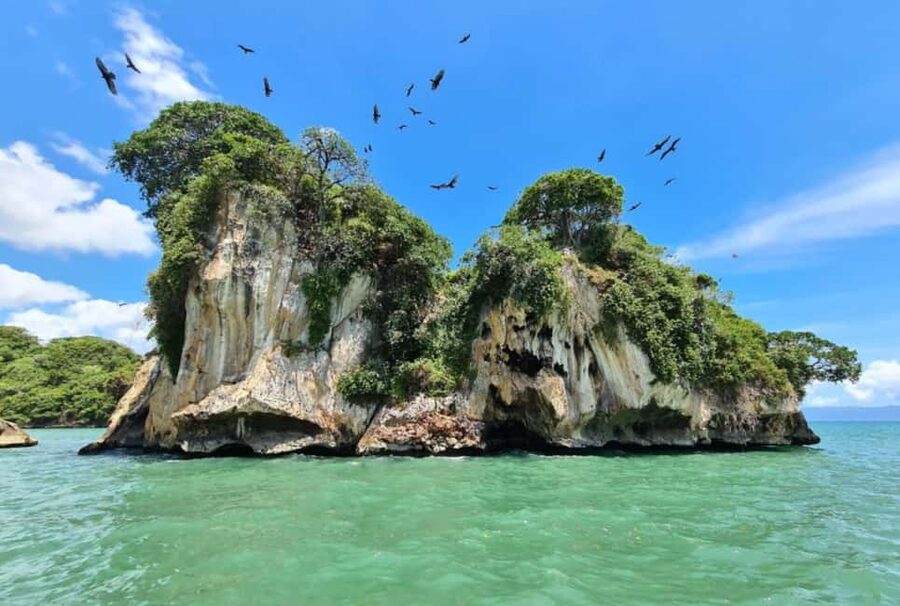 From Samana: Los Haitises Boat and Walking Tour with Lunch - Cayo Levantado (Bacardi Island): buffet lunch plus real beach downtime