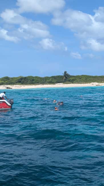 From Santo Domingo: Catalina Island Day Tour - National Park admission: included, which saves time and hassle