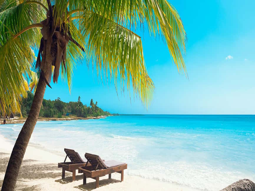 From Santo Domingo: Saona Island Day Trip with Lunch - Who This Trip Suits (and Who Should Think Twice)