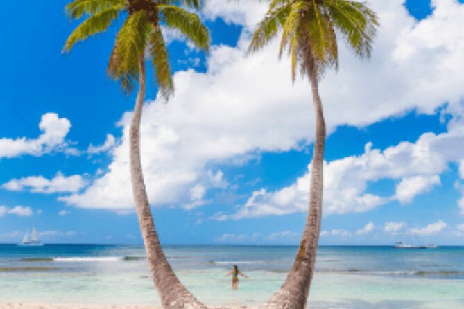 From Santo Domingo Saona Island Food And Drink Catamaran Vip - Isla Saona time: 2 hours 45 minutes on reefs, mangroves, and palm beaches