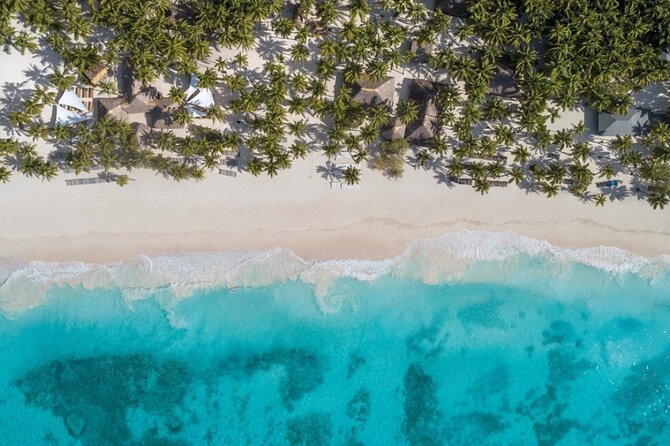 From Santo Domingo Saona Island Food And Drink Catamaran Vip - Value check: is $95 worth it for Saona day access?
