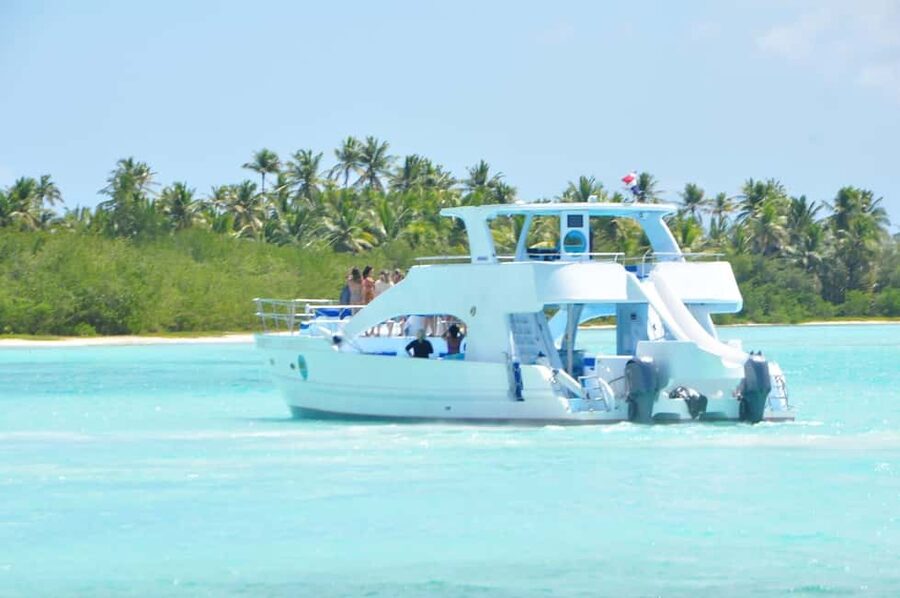 From Santo Domingo: Whale Watching & Cayo Levantado - Who Should Book This Tour, and Who Might Want Another Option