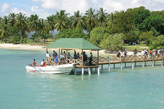 Full Day Bacardi Whale Watching - End Season March 30th - Price check: is $165 per person worth it?