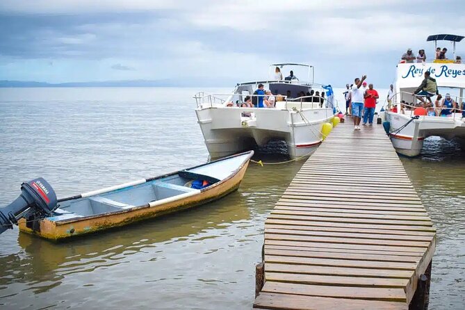 Full Day Bacardi Whale Watching - End Season March 30th - Who this tour is best for (and who should skip it)