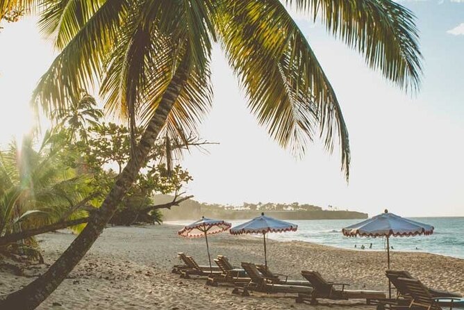 Full-Day Blue Lagoon Tour in Dominican Republic - Food, drinks, and the real meaning of the $85 price