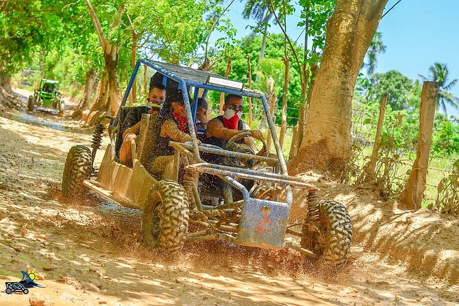 Full-day Buggy & Party Boat tour: snorkel, open bar, cave pool - Key highlights worth knowing