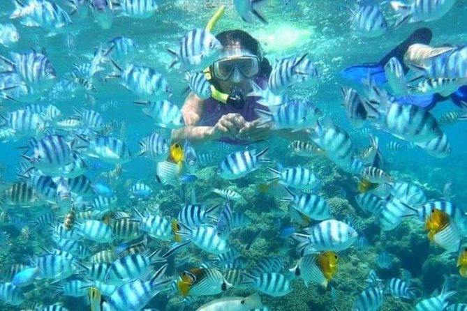 Full day Caribbean Catalina Island with snorkeling - Return Trip Reality: Souvenir Stops and How to Stay in Control