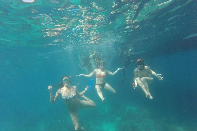 Full day Caribbean Catalina Island with snorkeling - Price and Value: What You’re Actually Getting for $79