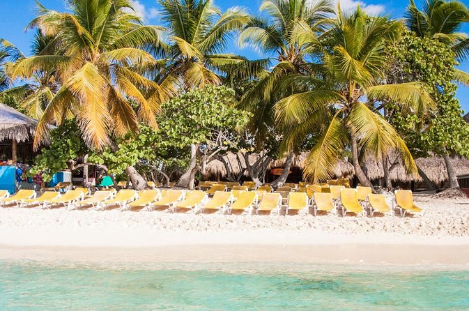 Full-Day Catalina Island Scuba Diving Tour from Punta Cana - Who should book this Catalina Island scuba day trip?