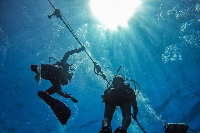 Full-Day Catalina Island Scuba Diving Tour from Punta Cana - Scuba Site 1: The Wall’s sponges, eels, and reef characters