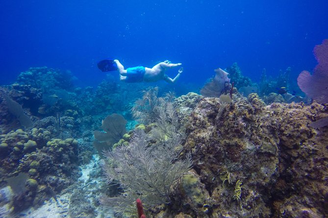 Full-Day Catalina Island Snorkeling Tour from Bavaro - Catalina Island beach time and the Dominican BBQ feast