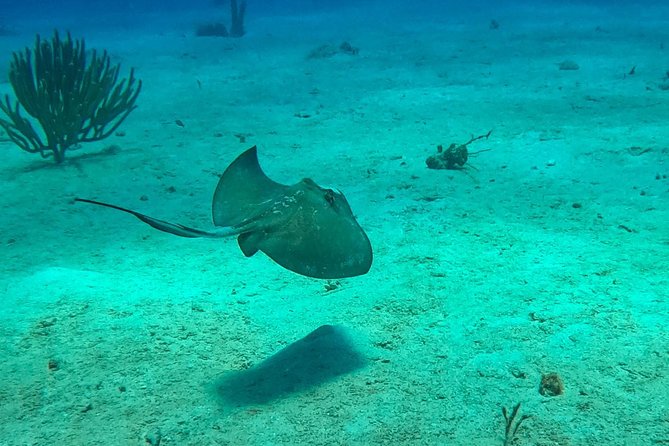 Full-Day Catalina Island Snorkeling Tour from Bavaro - Drinks and the rhythm of the day