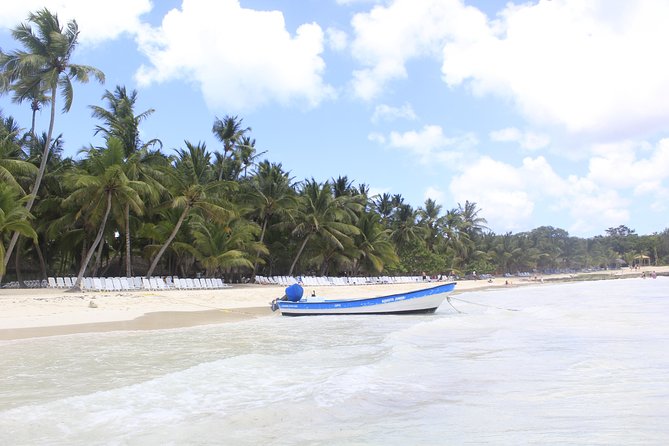 Full-Day Cruise to Saona Island - Natural pool and lunch - Entertainment on the Catamaran Return: Fun, Music, and a Little Chaos