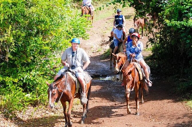 Full Day Eco Safari Adventure and Cultural Tour - Why this eco safari tour feels like a real Dominican day