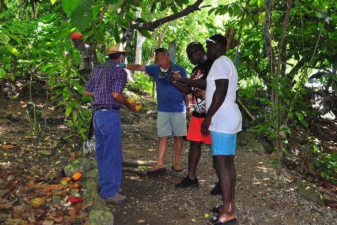 Full Day Eco Safari Adventure and Cultural Tour - Horseback riding: fun add-on, but plan for a bit of physical effort