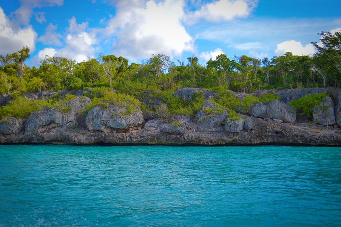 Full-Day Excursion in Saona Island - Lunch, Drinks, and the Open-Bar Reality
