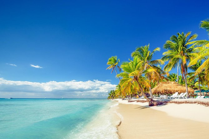 Full Day Excursion in Saona Island - The Boat Ride Out: Speed Boat (or Similar) to Start