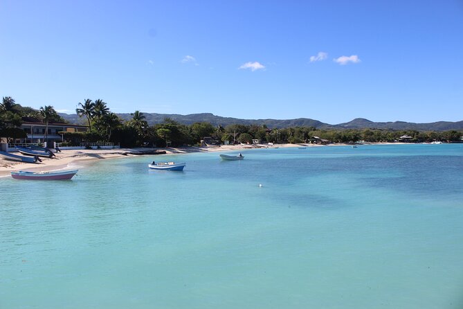 Full Day Isla Bonita Speed Tours - Mangroves and Local Stops: Why This Stretch Feels More Like Culture Than Only Beach