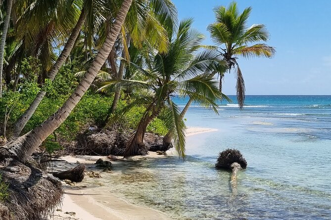 Full Day Island Tour in Isla Saona from Punta Cana - Price and value: is $68 fair for what’s included?