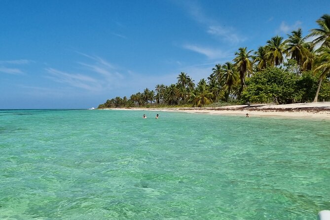 Full Day Island Tour in Isla Saona from Punta Cana - Who this tour is best for (and who should skip it)