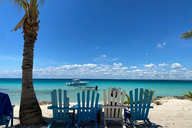 Full Day Private Tour of Bayahibe, Cotubanamá and Saona Island - Key things that make this tour worth your time