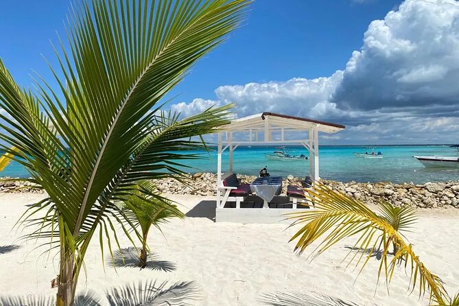 Full Day Private Tour of Bayahibe, Cotubanamá and Saona Island - The return journey: mangroves, turtles, and sea stars on the mainland
