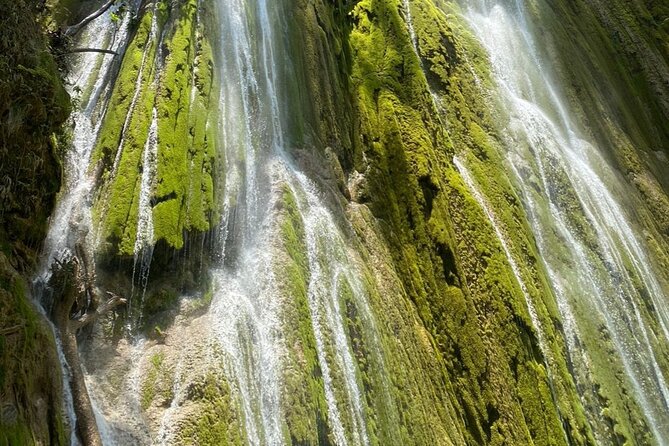 Full Day SAMANA ADVENTURE Tour - Punta Cana - Value and Price: Is $160 Actually a Good Deal?