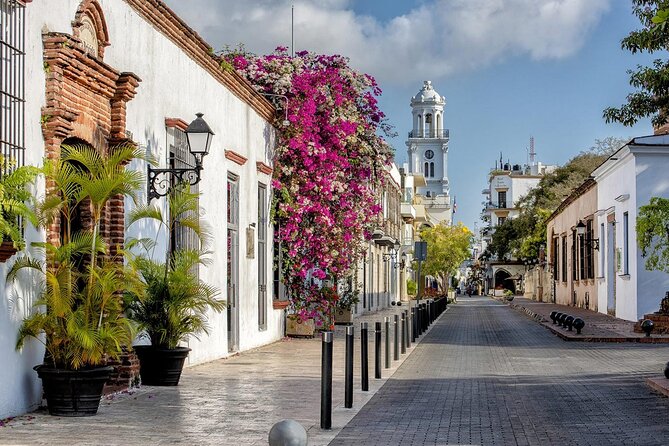 Full Day Santo Domingo City Tour: History of the Caribbean From Punta Cana - Lunch, Breaks, and the Stuff You Don’t Want to Think About