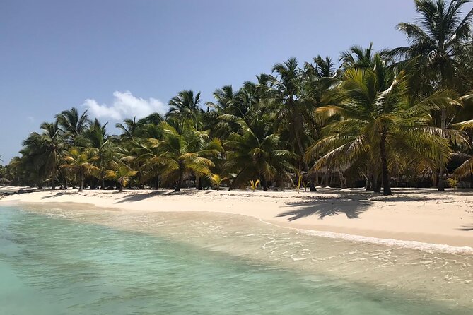 Full-Day Saona Island Escape – Beaches, Adventure, Paradise Vibes - Saona Island in One Big Day: Why This Trip Gets People