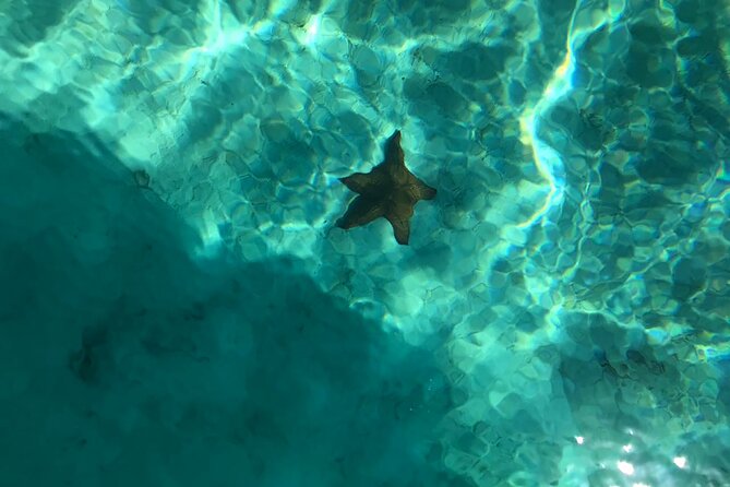 Full-Day Saona Island Escape – Beaches, Adventure, Paradise Vibes - Snorkeling Reality Check: What You Should Confirm Before Booking