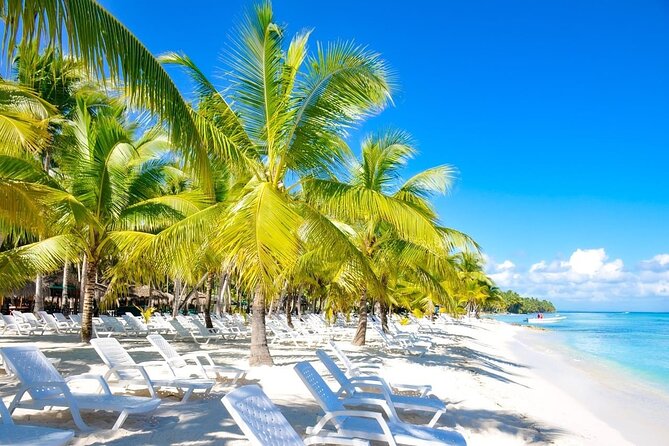 Full-Day Saona Island Escape – Beaches, Adventure, Paradise Vibes - Getting There: Pickup, Fast Boats, and a Long, Early Schedule