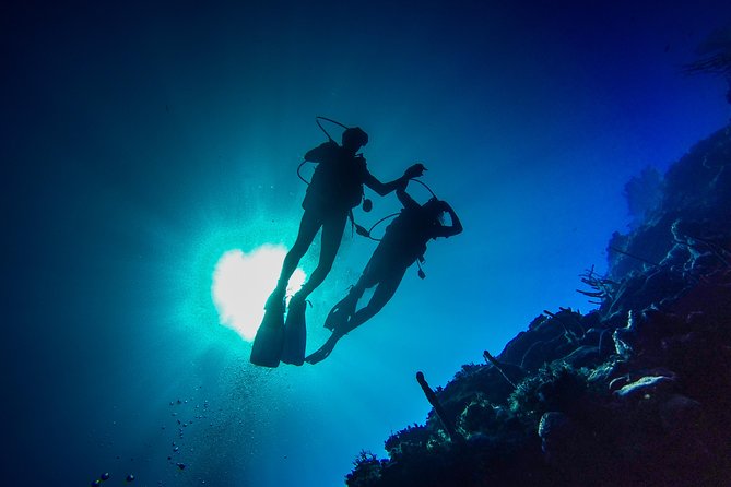 Full-Day Scuba Diving Catalina Island Tour from Bavaro - Key things to know before you go
