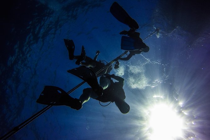 Full-Day Scuba Diving Catalina Island Tour from Bavaro - Equipment is handled, so you can focus on the water