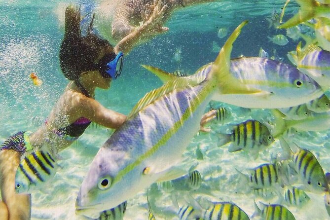 Full-Day Tour Isla Bonita Deluxe - Monte Cristi National Park: mangroves, wildlife, and salt-air scenery