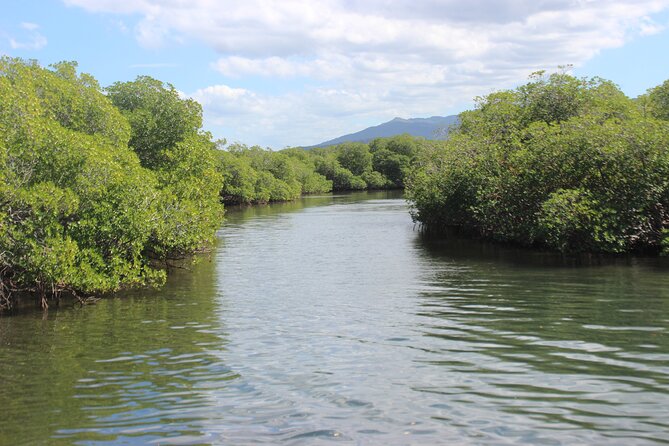 Full-Day Tour Isla Bonita Deluxe - Punta Rucia lunch and the cigar-factory stop