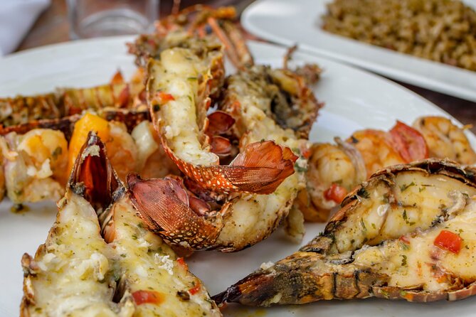 Full-Day Tour Isla Bonita Deluxe - Who should book Isla Bonita Deluxe, and who might not love it