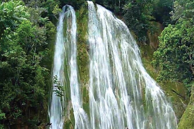 Full day tour Samana, Las Terrenas and El Limón from Santo Domingo - Price and value: is $200 per person a good deal?
