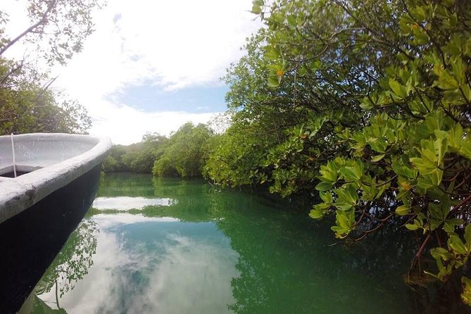 Full-Day Tour to Punta Rucia and Cayo Arena with Snorkeling - Price and Value: What You Get for $89