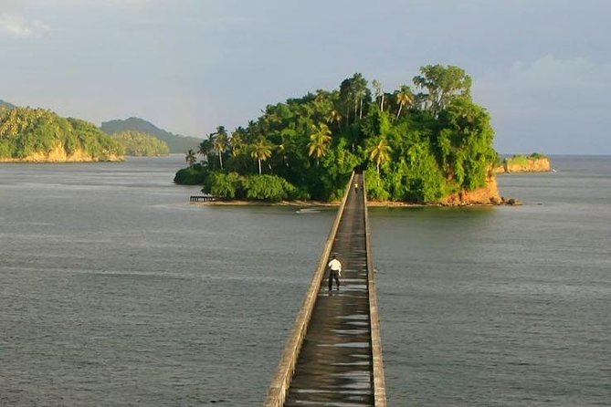 Full day tour to samana bay from punta cana - The big picture: what this day trip really gives you