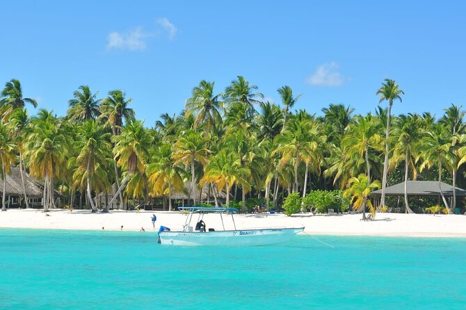 Full Day Tour to Saona Island by Catamaran and Speedboat - Bayahibe beach energy: drinks, swimming, and the included buffet lunch