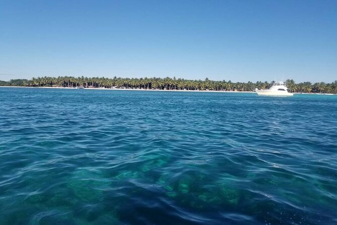 Full Day Tour to Saona Island by Catamaran and Speedboat - Starfish spot on the return: a quick break from the travel time