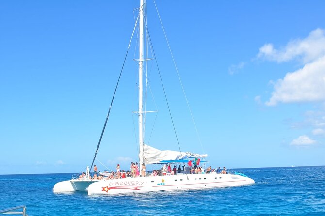 Full Day Tour to Saona Island by Catamaran and Speedboat - Group size, comfort, and service: getting value without losing your cool