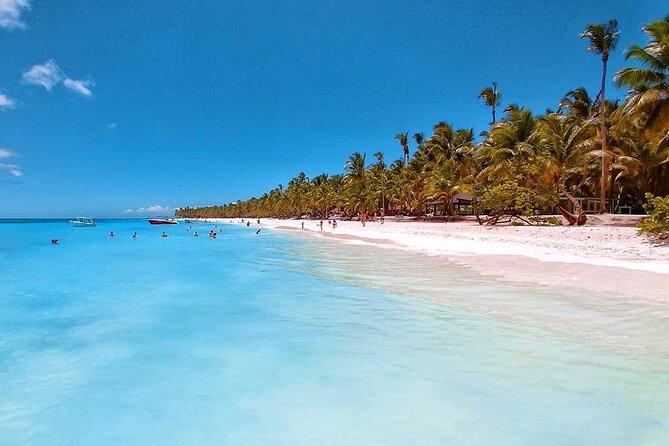 Full Day Tour to Saona Island by Catamaran and Speedboat - Getting to the island by catamaran or speedboat
