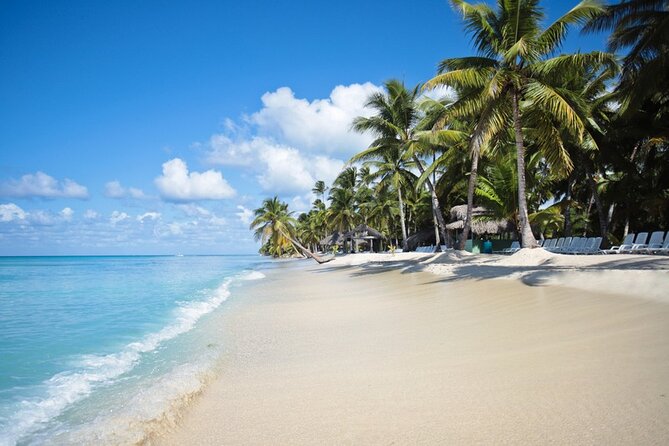 Full-Day Tour to Saona Island Sailing with Lunch and Beverages - Key points worth knowing before you go