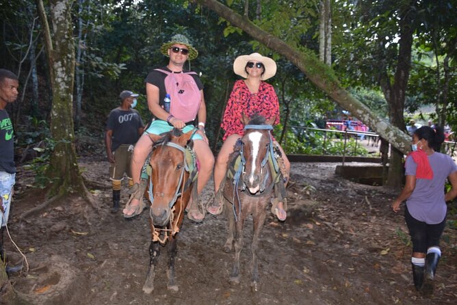 Full-Day Trip to Limon Waterfall and Bacardi Island - Food, Drinks, and What Included Really Means