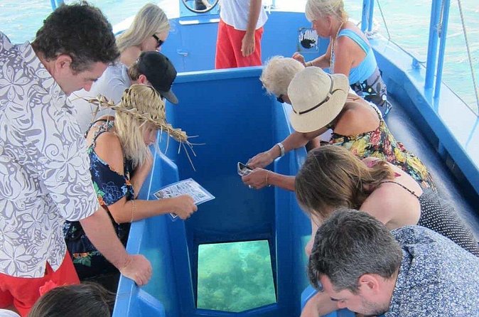 Glass Bottom Boat in Punta Cana - Should you book it?