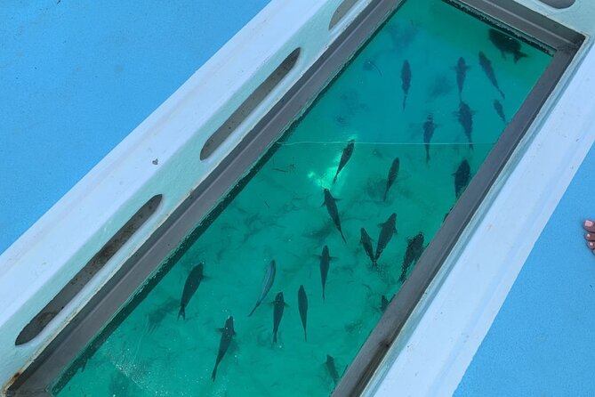 GlassBottom Catamaran with Slide - Food, Tropical Fruit, and National Drinks on Board